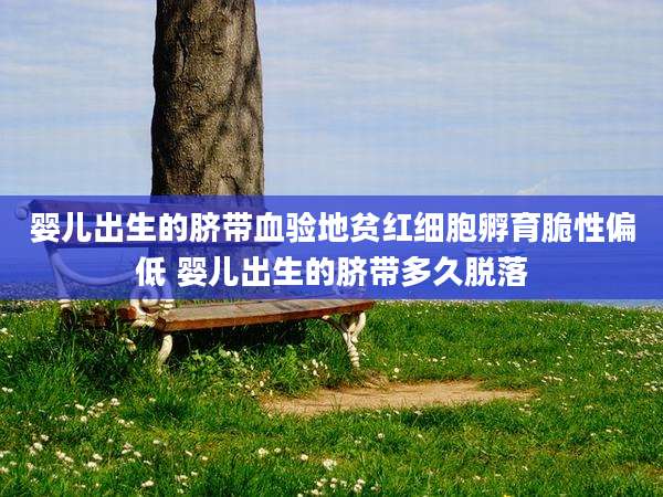 婴儿出生的脐带血验地贫红细胞孵育脆性偏低 婴儿出生的脐带多久脱落