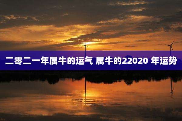 二零二一年属牛的运气 属牛的22020 年运势