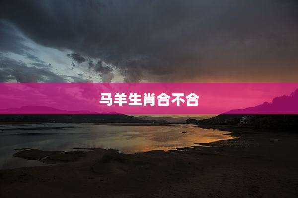 马羊生肖合不合