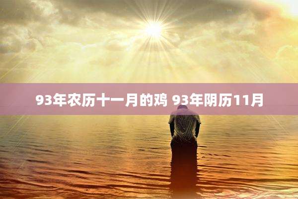 93年农历十一月的鸡 93年阴历11月