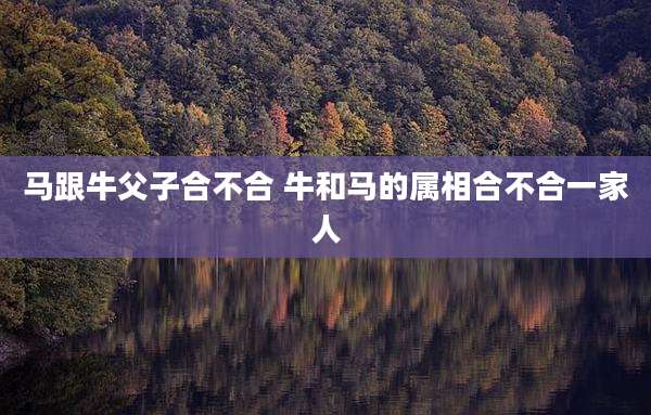 马跟牛父子合不合 牛和马的属相合不合一家人