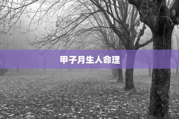 甲子月生人命理