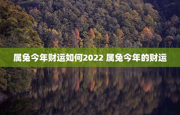 属兔今年财运如何2022 属兔今年的财运