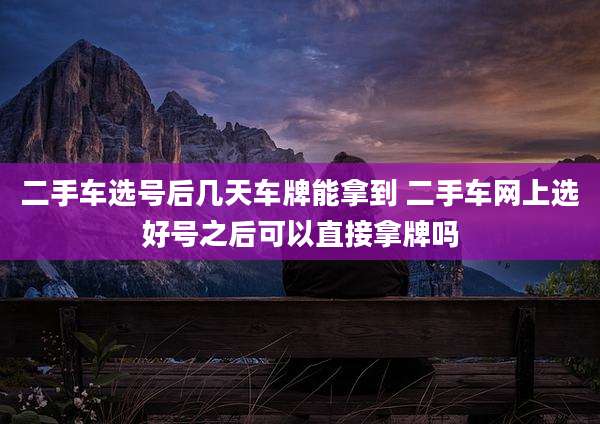 二手车选号后几天车牌能拿到 二手车网上选好号之后可以直接拿牌吗