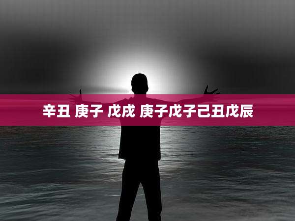 辛丑 庚子 戊戌 庚子戊子己丑戊辰