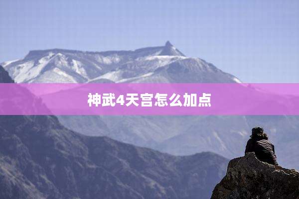 神武4天宫怎么加点