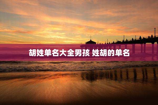 胡姓单名大全男孩 姓胡的单名