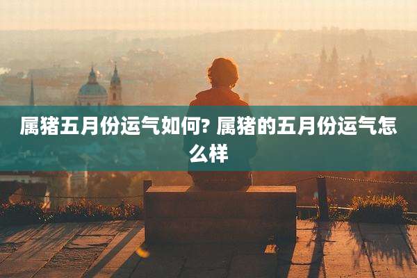 属猪五月份运气如何? 属猪的五月份运气怎么样