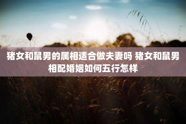 猪女和鼠男的属相适合做夫妻吗 猪女和鼠男相配婚姻如何五行怎样