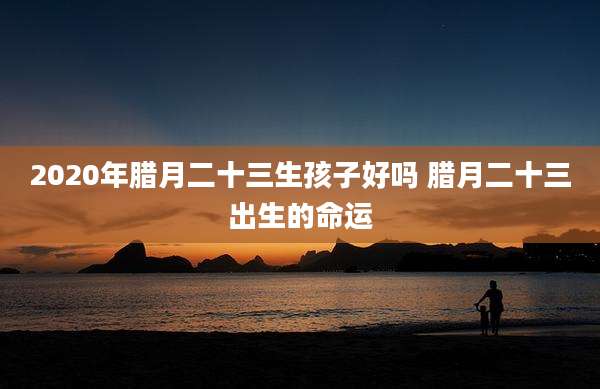 2020年腊月二十三生孩子好吗 腊月二十三出生的命运