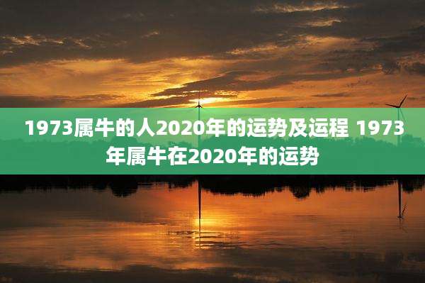 1973属牛的人2020年的运势及运程 1973年属牛在2020年的运势