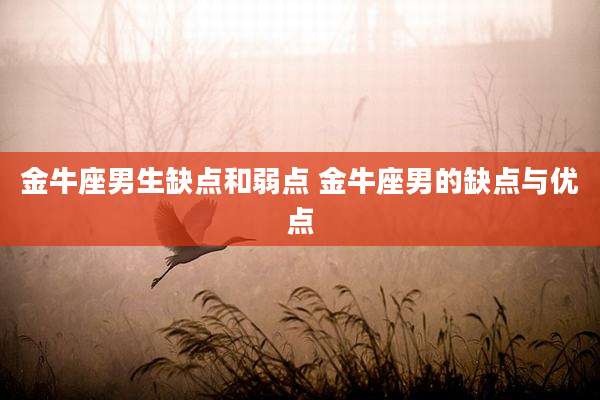 金牛座男生缺点和弱点 金牛座男的缺点与优点