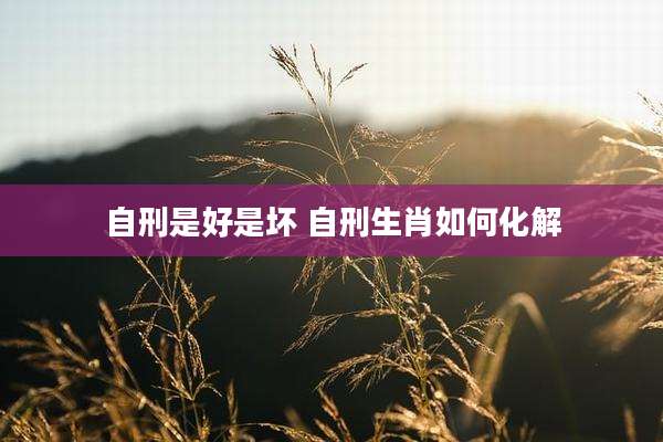 自刑是好是坏 自刑生肖如何化解