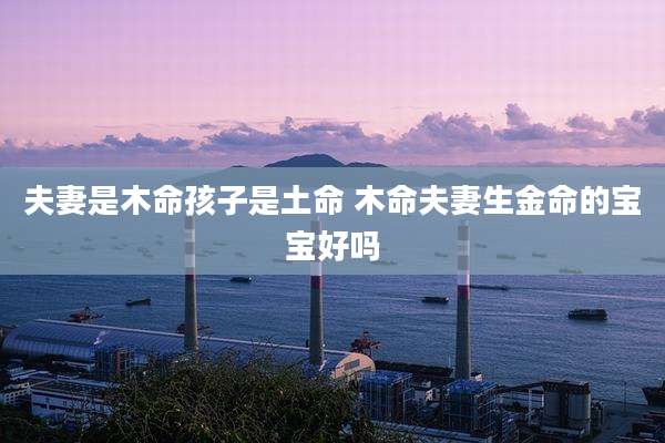 夫妻是木命孩子是土命 木命夫妻生金命的宝宝好吗