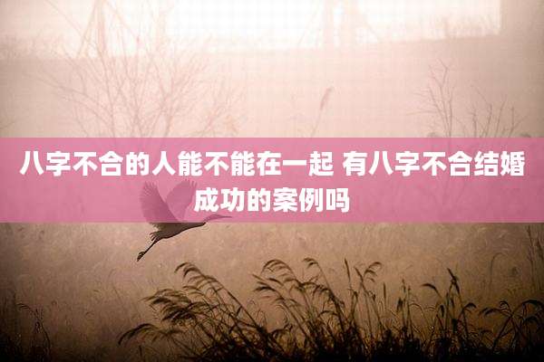 八字不合的人能不能在一起 有八字不合结婚成功的案例吗
