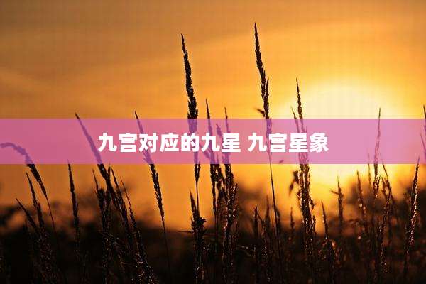 九宫对应的九星 九宫星象