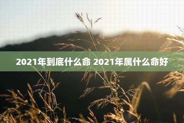 2021年到底什么命 2021年属什么命好