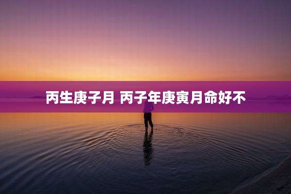 丙生庚子月 丙子年庚寅月命好不