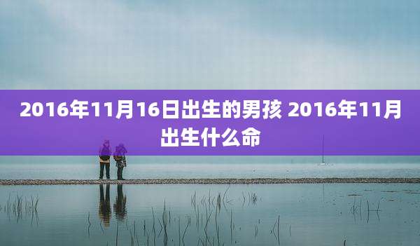 2016年11月16日出生的男孩 2016年11月出生什么命