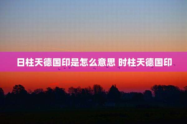 日柱天德国印是怎么意思 时柱天德国印
