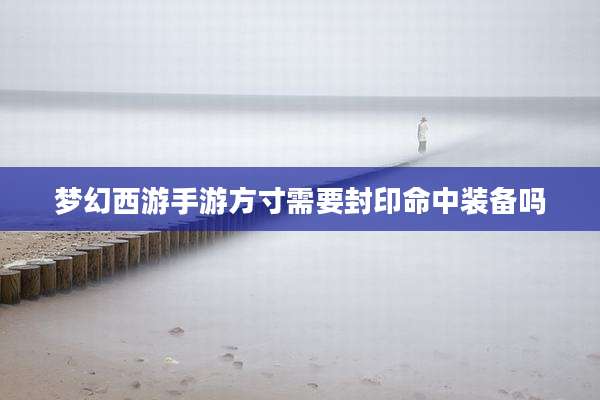 梦幻西游手游方寸需要封印命中装备吗