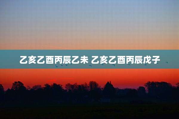 乙亥乙酉丙辰乙未 乙亥乙酉丙辰戊子