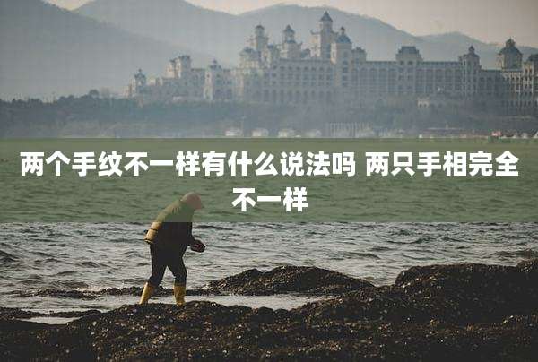 两个手纹不一样有什么说法吗 两只手相完全不一样