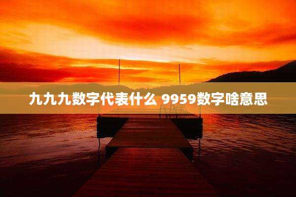 九九九数字代表什么 9959数字啥意思