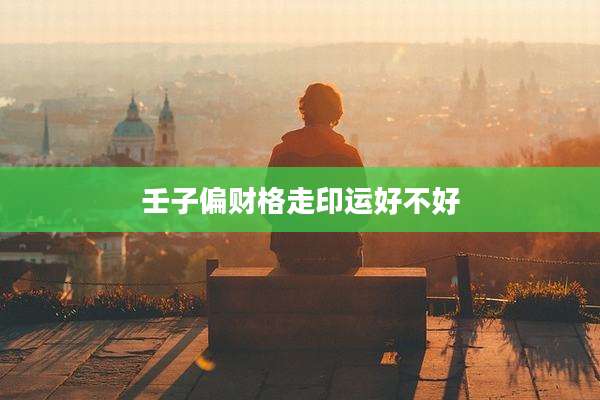 壬子偏财格走印运好不好
