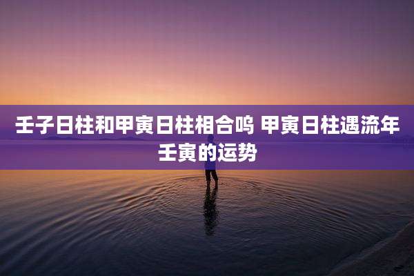 壬子日柱和甲寅日柱相合呜 甲寅日柱遇流年壬寅的运势