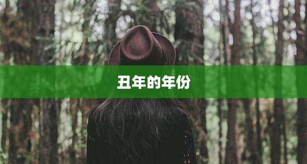 丑年的年份