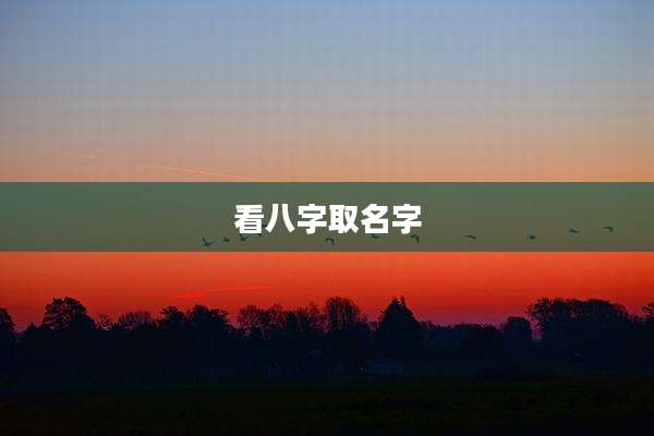 看八字取名字