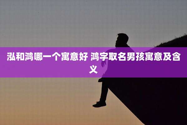 泓和鸿哪一个寓意好 鸿字取名男孩寓意及含义