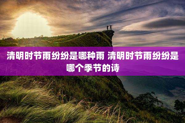 清明时节雨纷纷是哪种雨 清明时节雨纷纷是哪个季节的诗