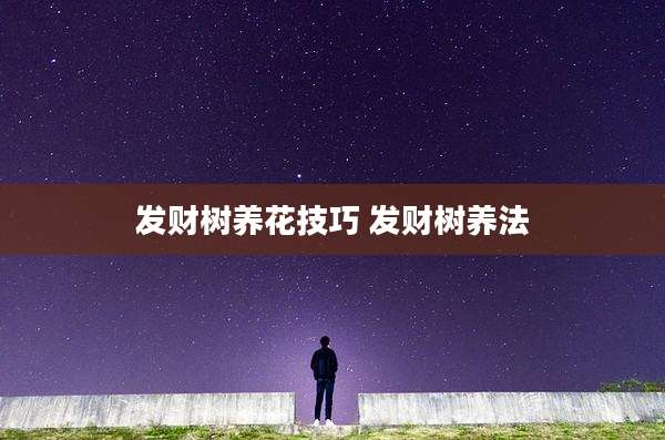 发财树养花技巧 发财树养法