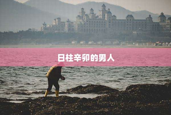 日柱辛卯的男人