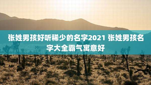 张姓男孩好听稀少的名字2021 张姓男孩名字大全霸气寓意好