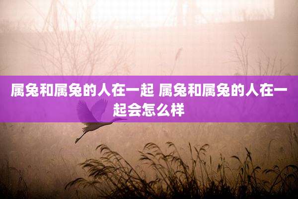 属兔和属兔的人在一起 属兔和属兔的人在一起会怎么样