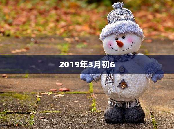 2019年3月初6