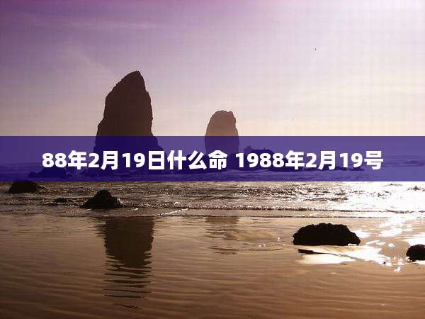 88年2月19日什么命 1988年2月19号