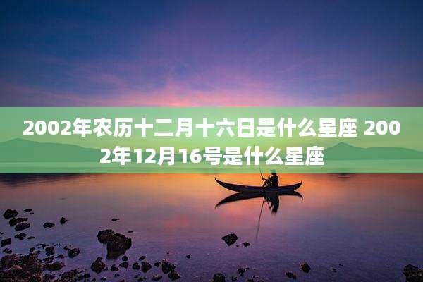 2002年农历十二月十六日是什么星座 2002年12月16号是什么星座