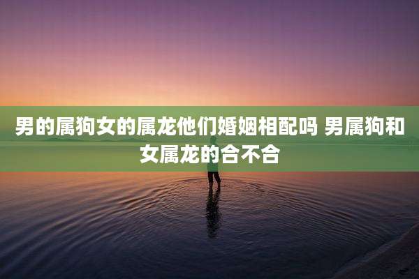 男的属狗女的属龙他们婚姻相配吗 男属狗和女属龙的合不合