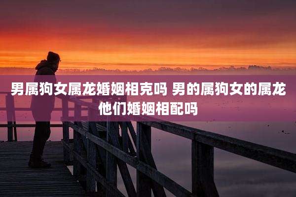 男属狗女属龙婚姻相克吗 男的属狗女的属龙他们婚姻相配吗