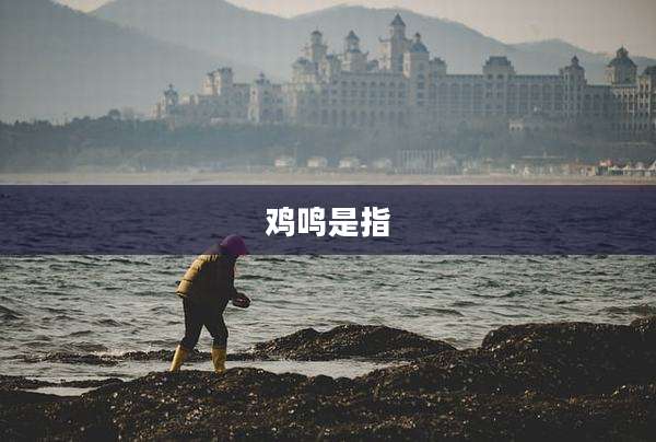 鸡鸣是指
