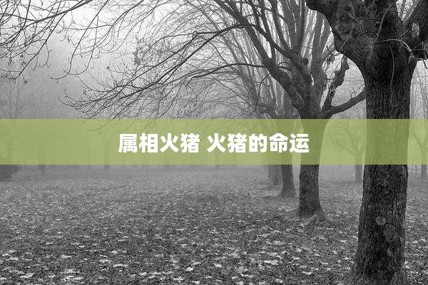 属相火猪 火猪的命运