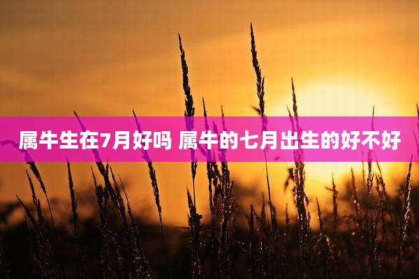 属牛生在7月好吗 属牛的七月出生的好不好
