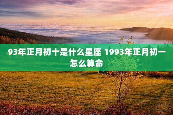93年正月初十是什么星座 1993年正月初一怎么算命