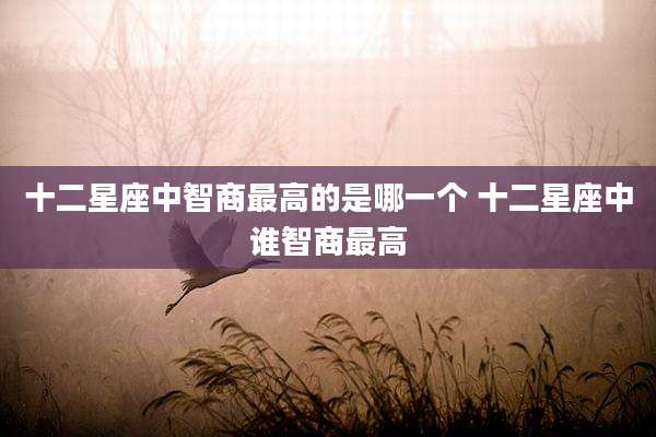 十二星座中智商最高的是哪一个 十二星座中谁智商最高