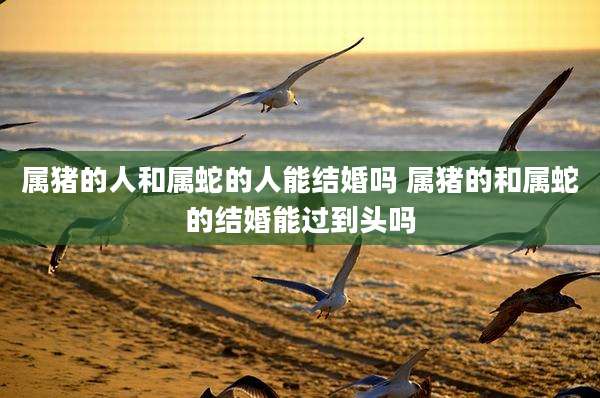 属猪的人和属蛇的人能结婚吗 属猪的和属蛇的结婚能过到头吗