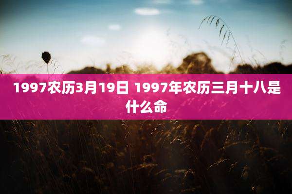 1997农历3月19日 1997年农历三月十八是什么命